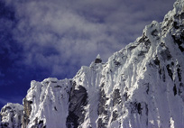Dentelles